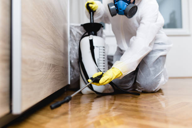 Best Best Pest Control Companies  in Oak Grove, MN