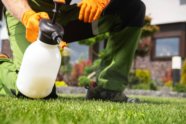 Best Best Pest Control Companies  in Oak Grove, MN