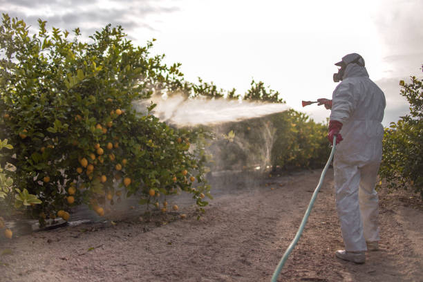 Best Pest Inspection Near Me  in Oak Grove, MN
