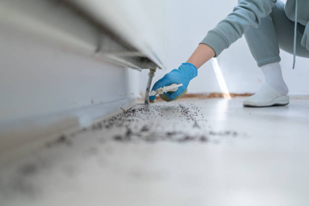 Best Mosquito Control Services  in Oak Grove, MN