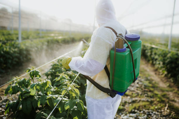 Best Pest Prevention Services  in Oak Grove, MN